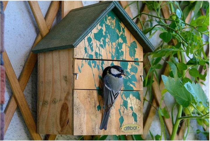 Produktbild Dobar Birke