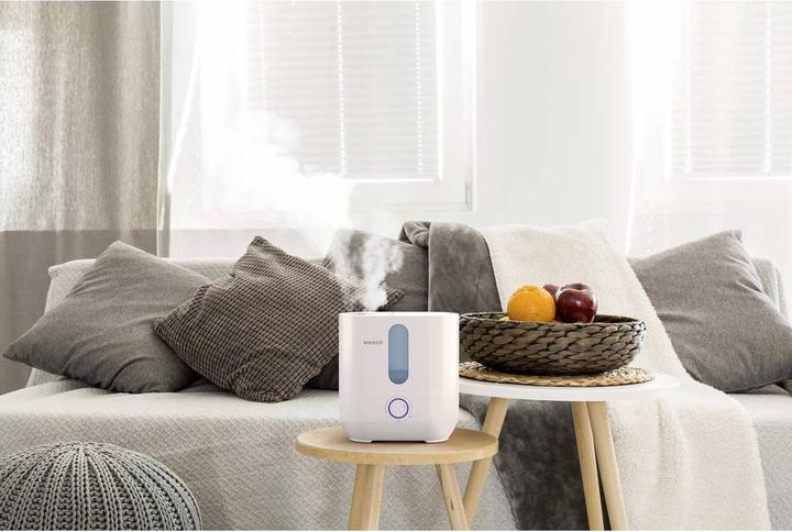 Actual product image Boneco U300 (50 m²)