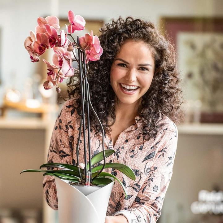 Actual product image Lechuza Orchidea (17.90 cm)