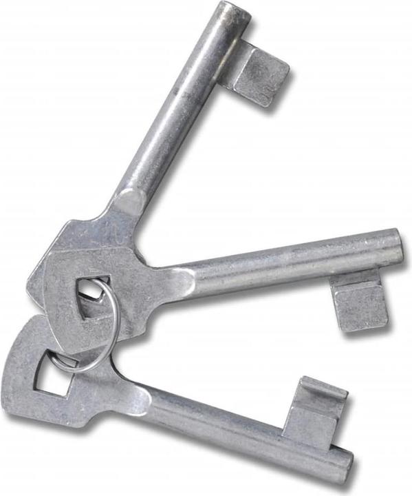 Image du produit vidaXL Gartentor