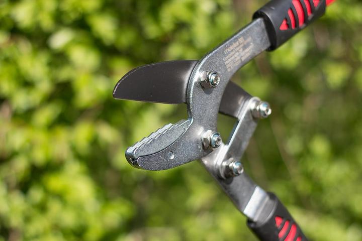 Actual product image Meister Astschere mit Amboss-Klinge