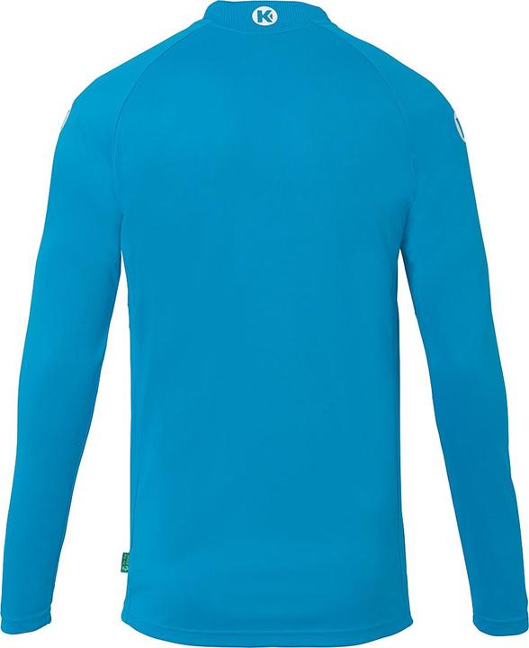 Actual product image Kempa Shorts Performance (M)