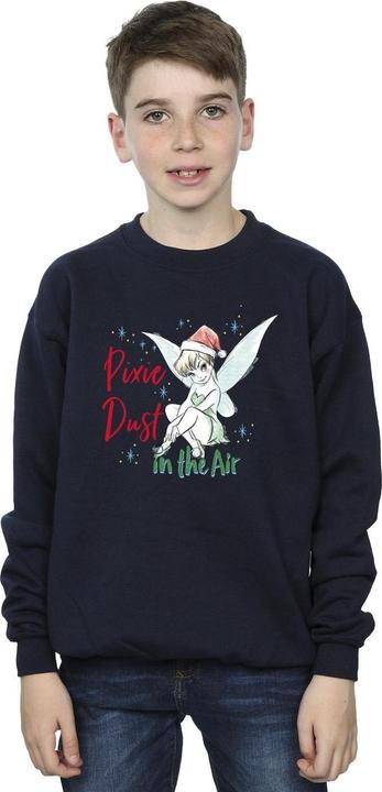 Produktbild Disney Tinker Bell Pixie Dust Sweatshirt Jungen (152, 158)