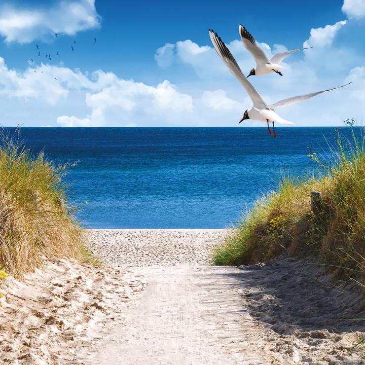 Produktbild Nordsee/Northern Sea 2026 (30 x 30 cm, Weicher Einband, Deutsch, Spanisch, Französisch, Tschechisch, Polnisch, Niederländisch, Italienisch, Englisch)