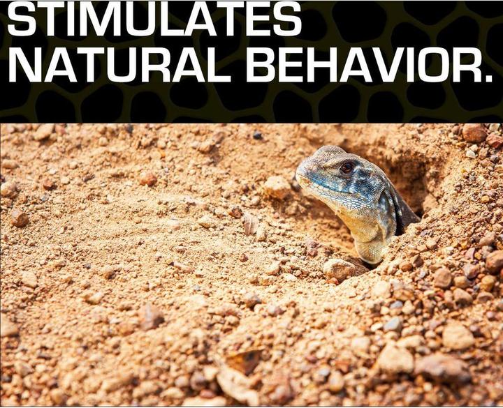 Actual product image Exo Terra Desert