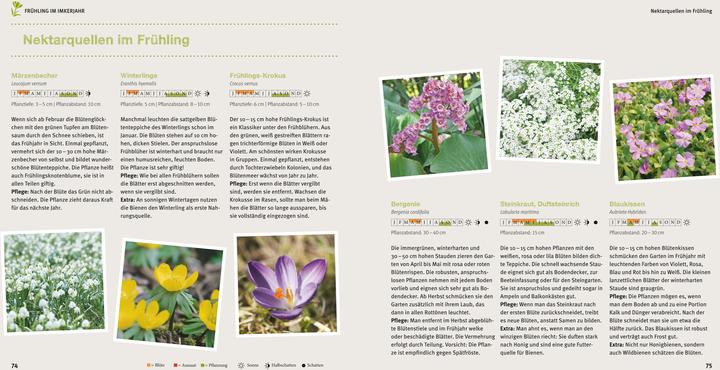 Produktbild Bienen Basics (Deutsch, Armin Bielmeier, 2016)