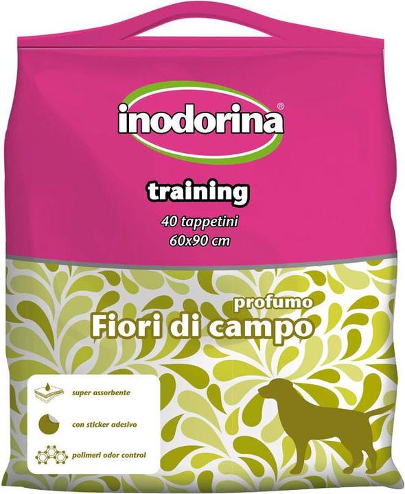 Actual product image Inodorina Windeln