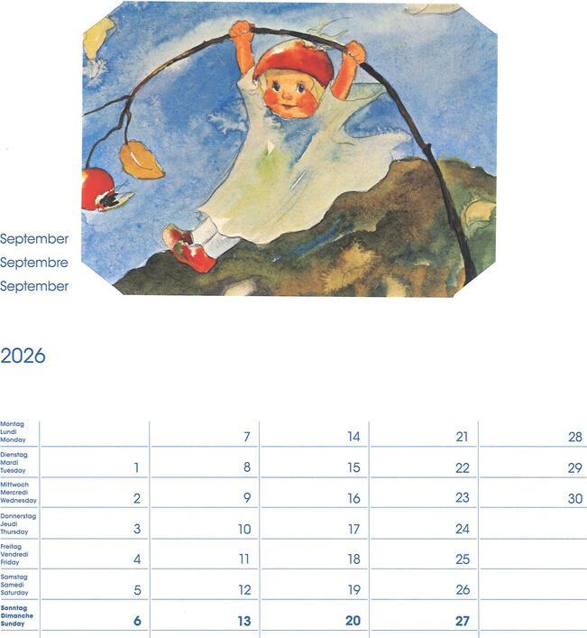 Immagine prodotto Cosa Calendario fotografico Mili Weber