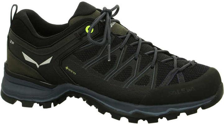 Produktbild Salewa MTN Trainer Lite GTX Schuhe (44.5)