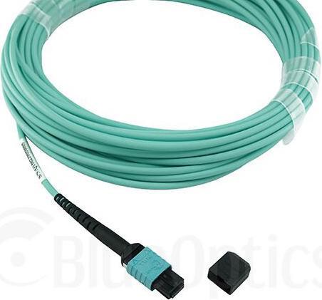 Actual product image BlueOptics Allied Telesis AT-MTP12-50 compatible MTP-MTP multimode OM3 patch cable 50 metres (50 m)