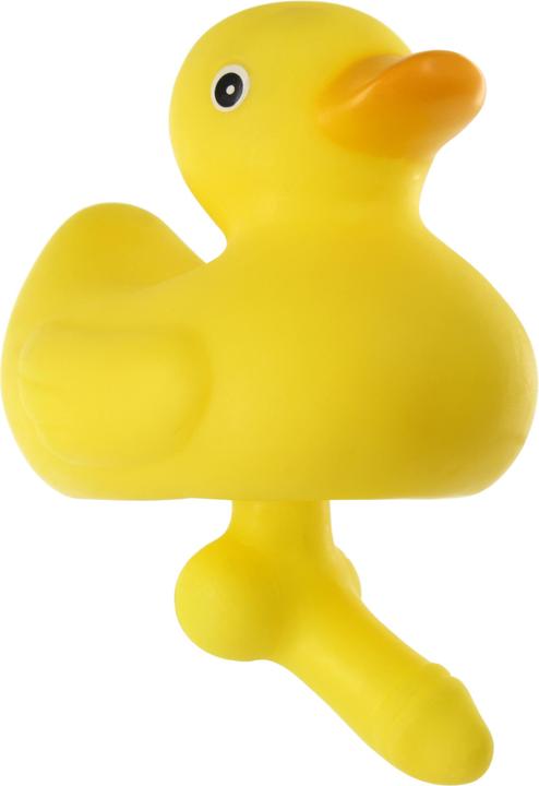 Actual product image Spencer & Fleetwood Duck With A Dick (Dice games)