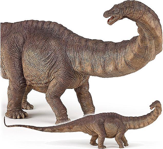 Actual product image Papo Apatosaurus