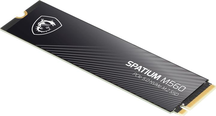 Actual product image MSI Spatium M560 (2000 GB, M.2 2280)