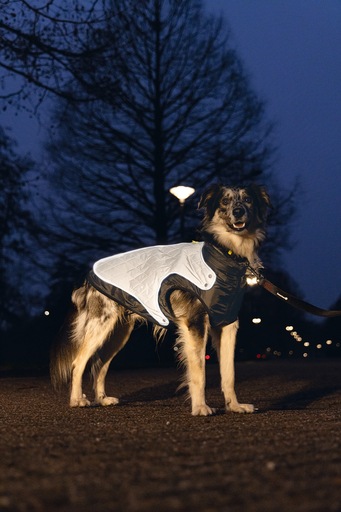 Immagine prodotto Beeztees Allia (44, Cappotto per cani)