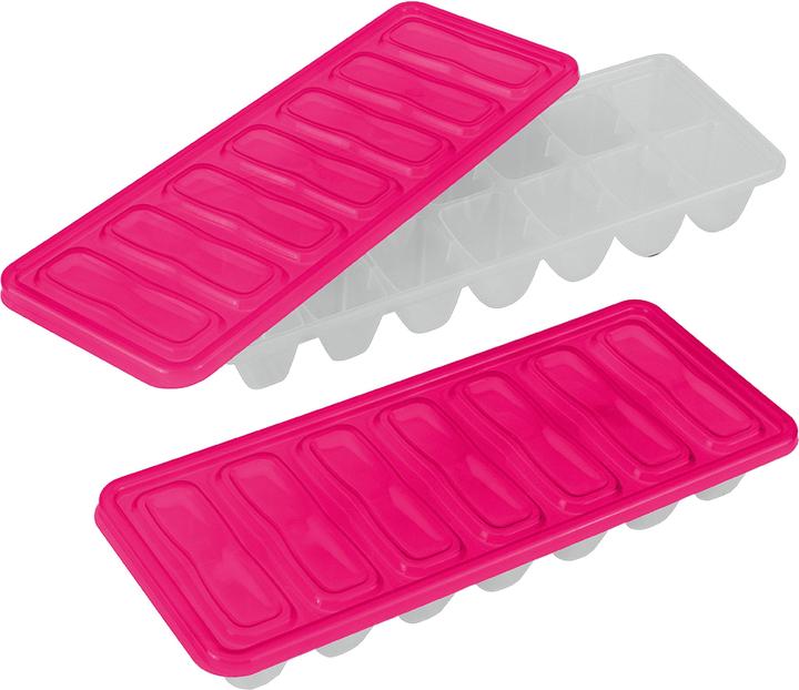 Actual product image Metaltex Ice cube maker with lid set of 2