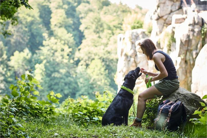 Immagine prodotto Hunter Collare per cani Hilo Vario Plus (XL, Cane, Sport cane)