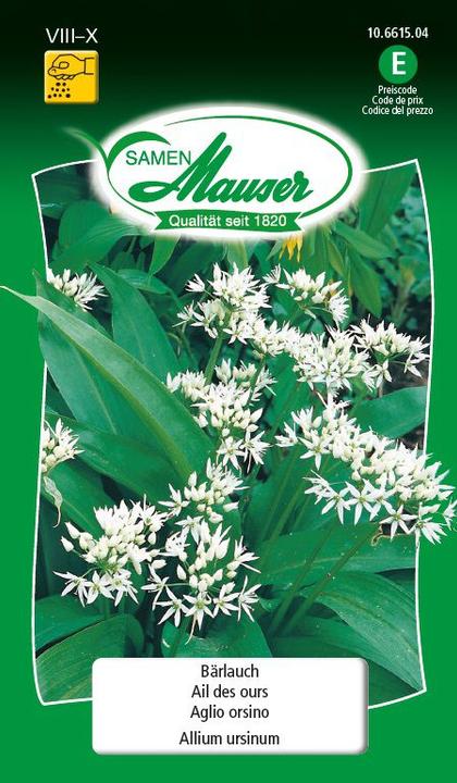 Actual product image Samen Mauser Wild garlic (Herb seeds)