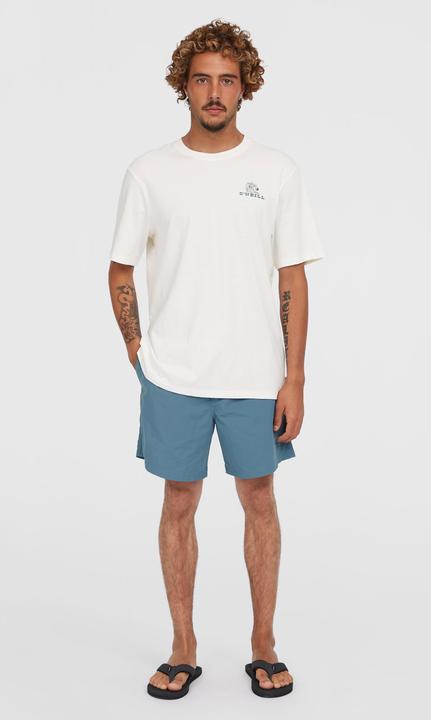 Produktbild O'Neill VERT 16" SWIMSHORTS (S)