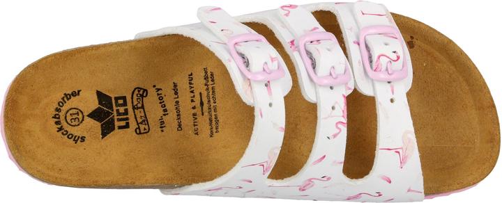 Actual product image Lico Bioline flaminco (34)