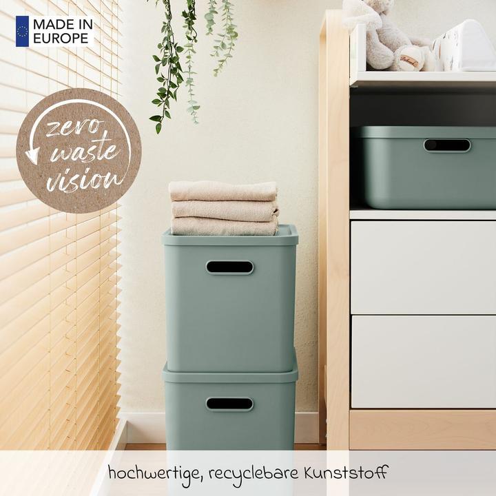 Image du produit Rotho Babydesign Spielzeugbox KAYO L Sage Green