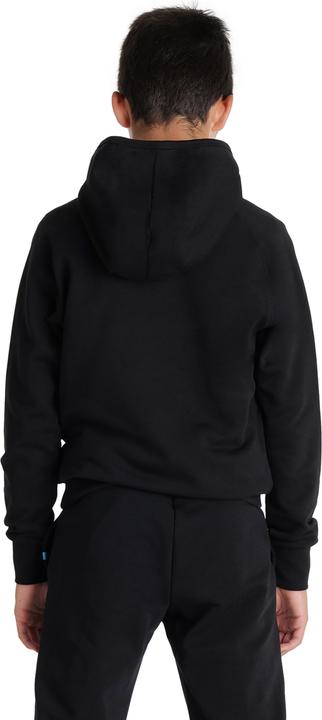 Actual product image Arena Jr Team Hooded Sweat Panel (152)