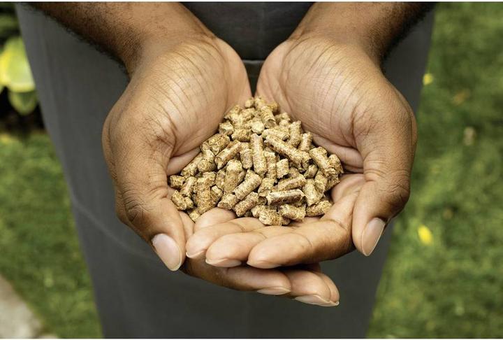 Immagine prodotto Ninja Woodfire Pellets Robust Blend (0.91 kg)