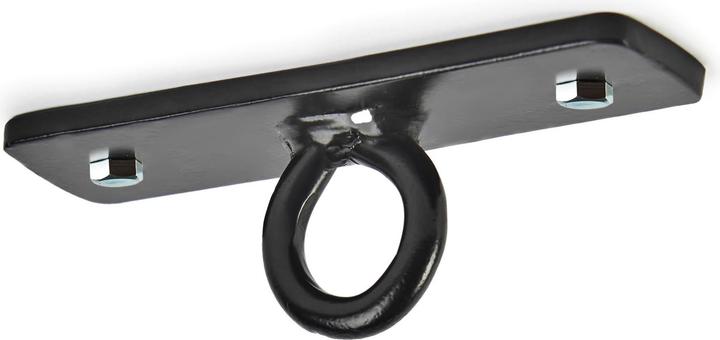 Leone Sacco da boxe a soffitto AT703