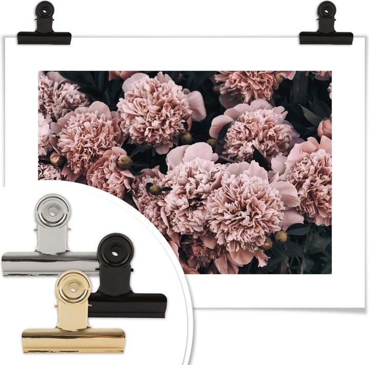 Immagine prodotto Trenddeko Peonie rosa (40 x 30 cm)