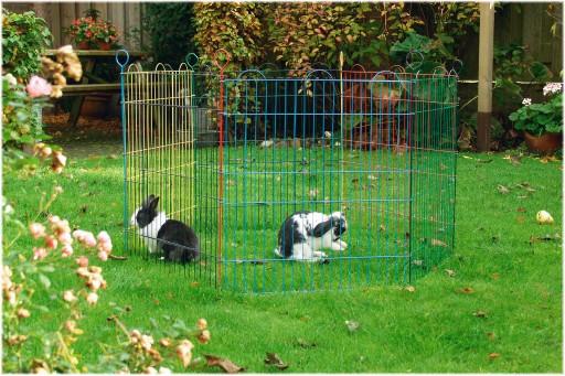 Actual product image Beeztees Rabbit enclosure