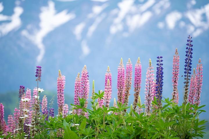 Actual product image Tamron AF 70-300mm F/4.5-6.3 Di III RXD Nikon Z (Nikon Z, full size)