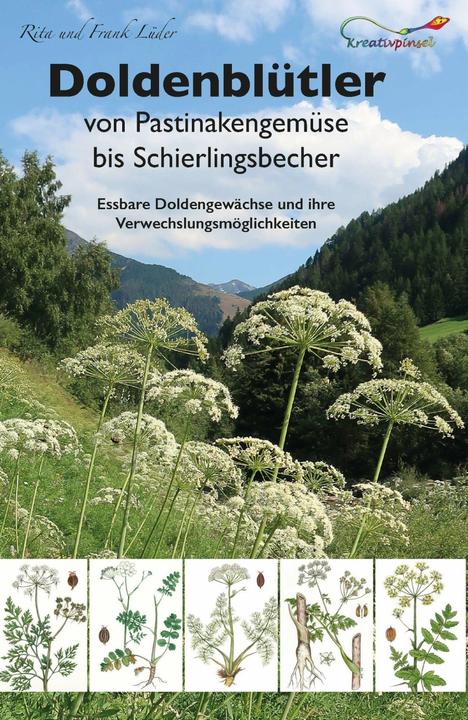 Produktbild Doldenblütler von Pastinakengemüse bis Schierlingsbecher (Deutsch, Frank Lüder, Rita Lüder, 2019)