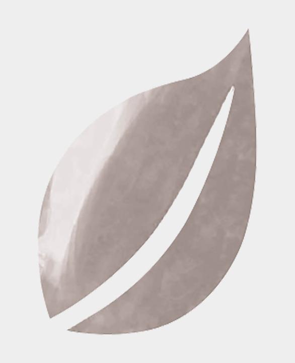 Actual product image Aladine IZINK Decorative acrylic paint (80 ml)