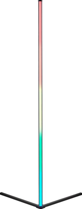 Immagine prodotto Reality Level Stock Lampe - Stehlampe - Schwarz - inkl.