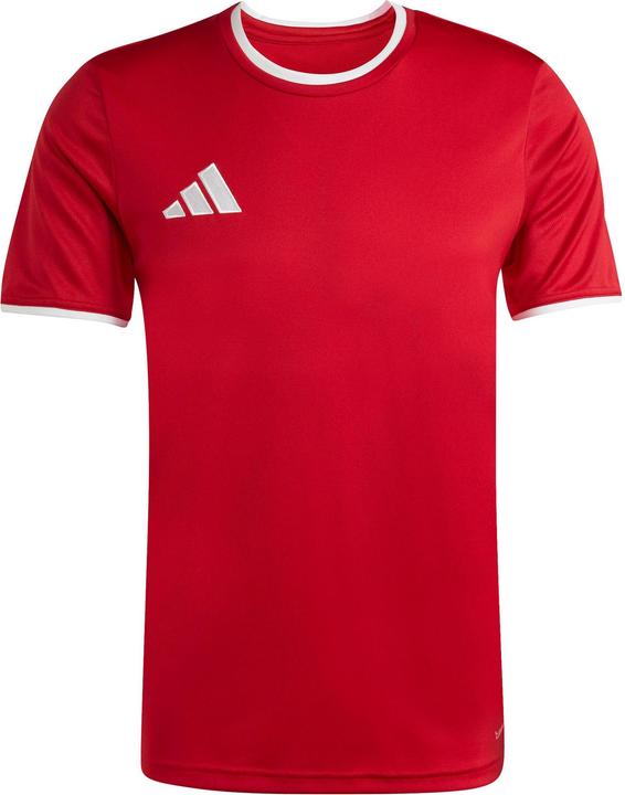 Team Power red 2/White, tepore/white