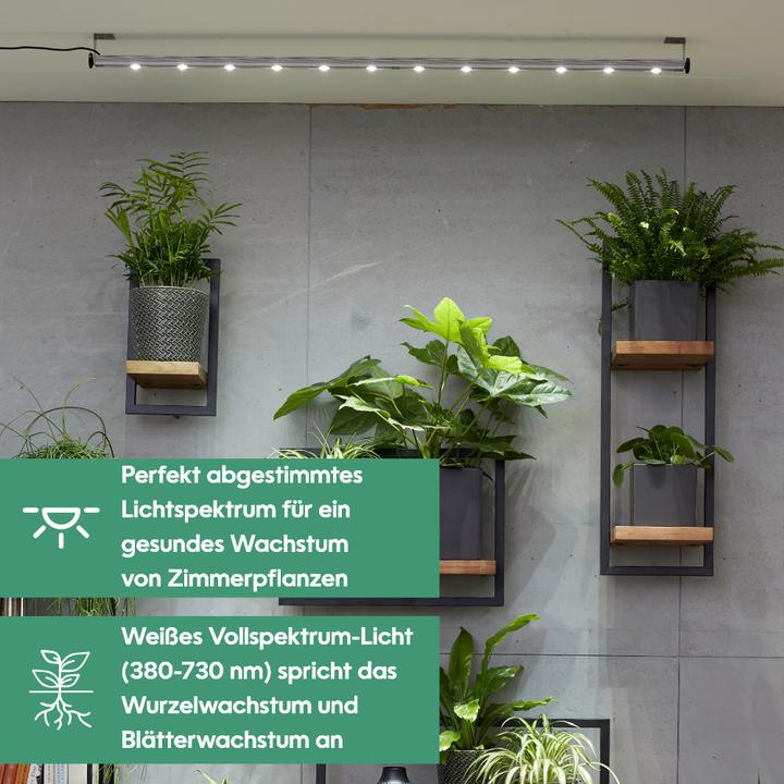 Actual product image Parus by Venso Wall Spot 150cm, beam angle 120 °, LED growth lamp, growth light for indoor plants an (LED, 245 V)