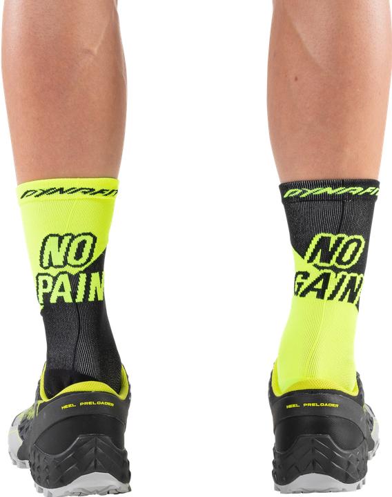 Actual product image Dynafit No Pain No Gain Socks Unisex (43 - 46)
