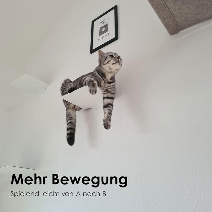 Image du produit LucyBalu STEPS Katzentreppe (Chat)