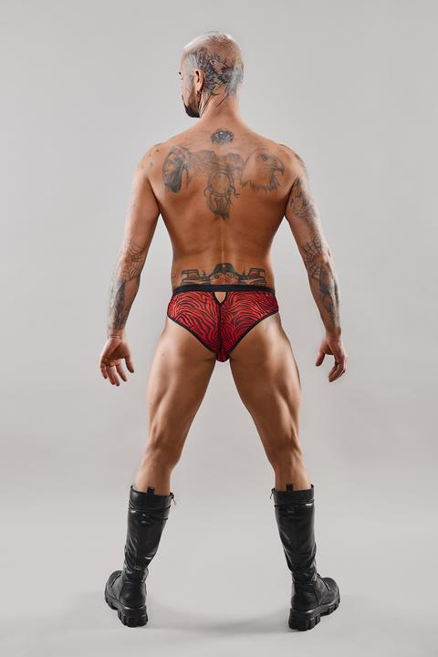 Image du produit Regnes Fetish Planet Slip pour homme (L)