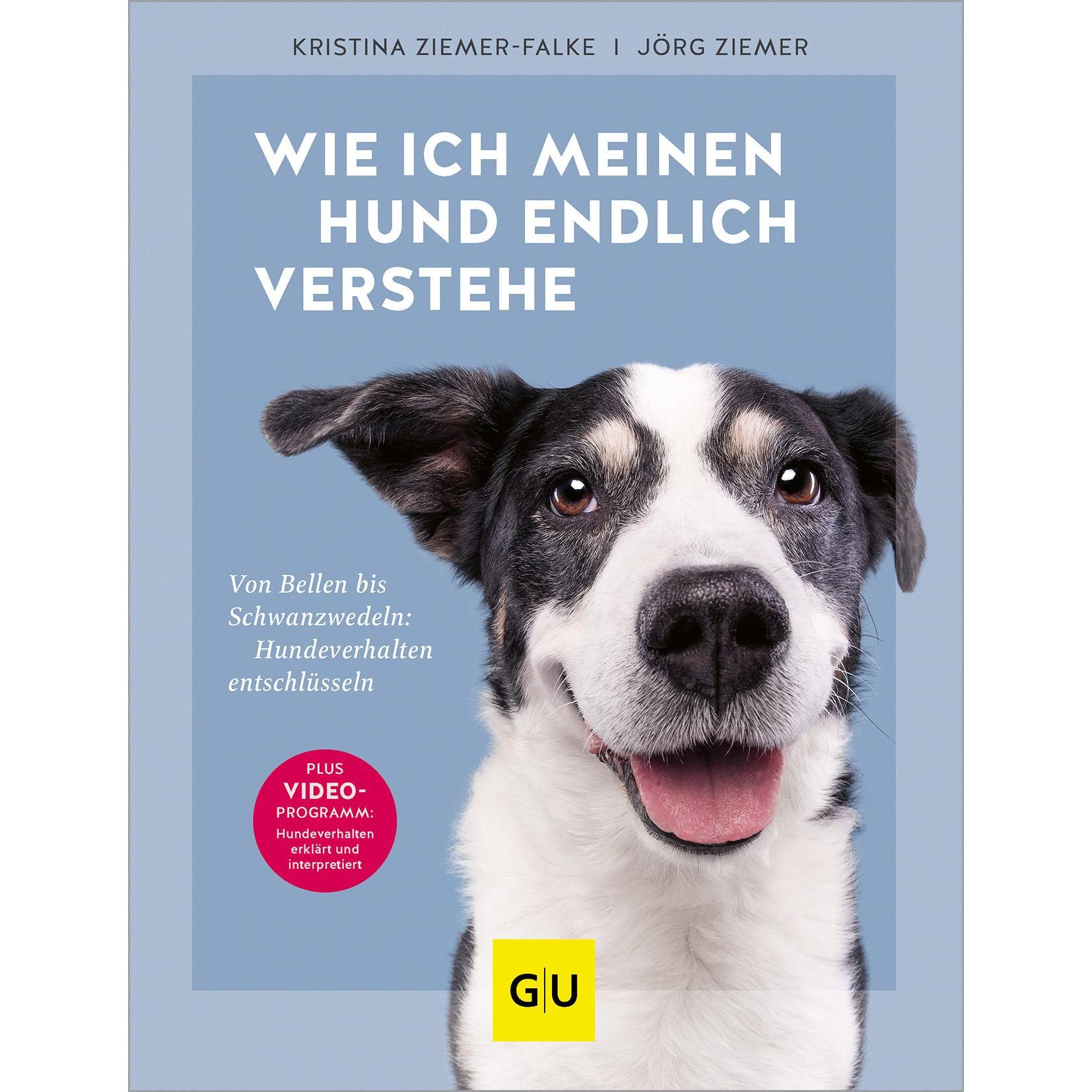 Wie ich meinen Hund endlich verstehe, Ratgeber von Kristina Ziemer-Falke, Jörg Ziemer