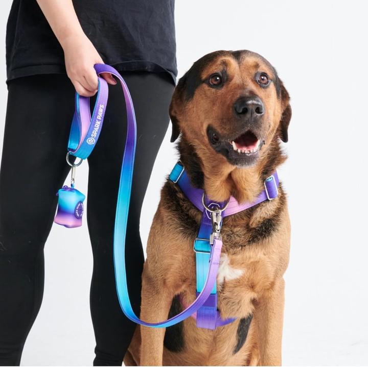 deutsches hundefutter Trockenfutter mit Geflügel | mera