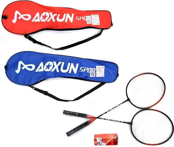 Actual product image PRO Badminton set in a case