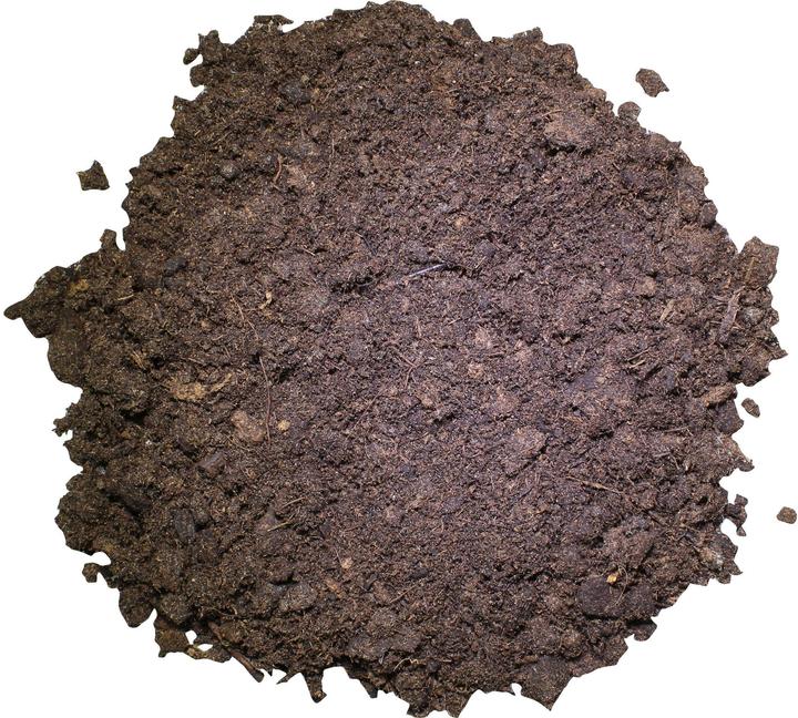 Produktbild Lucky Reptile Tortoise Bedding