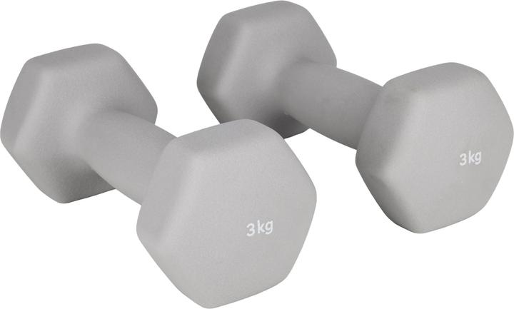 Galaxus Haltères courts (2 x 3 kg)