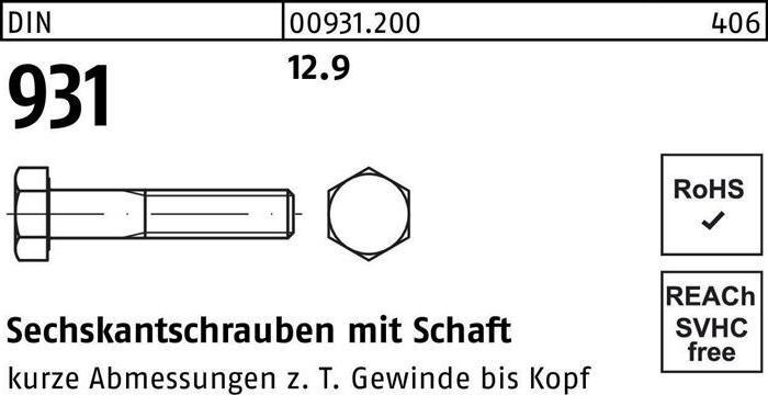 Actual product image Hexagon head screw DIN 931 w.shank M 24 x 90 12.9 (10 Screws per piece)
