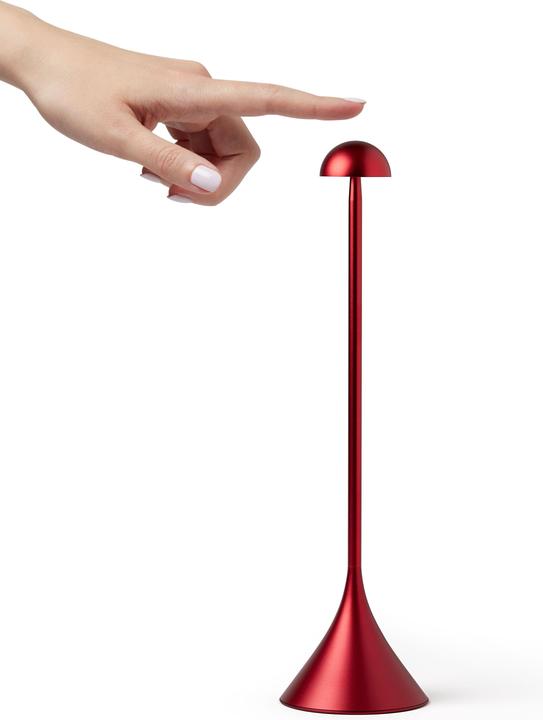 Actual product image Lexon Steli Dome (120 lm)