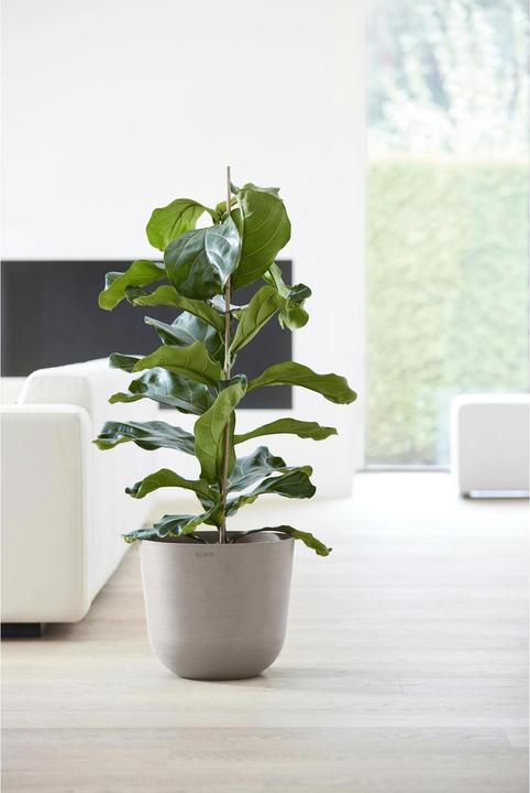 Actual product image Ecopots Oslo (35 cm)