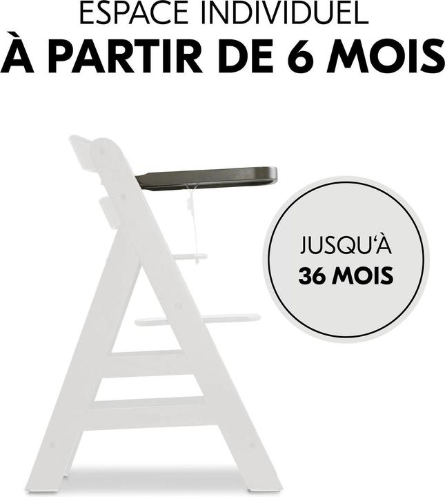 Actual product image Hauck Alpha Tray