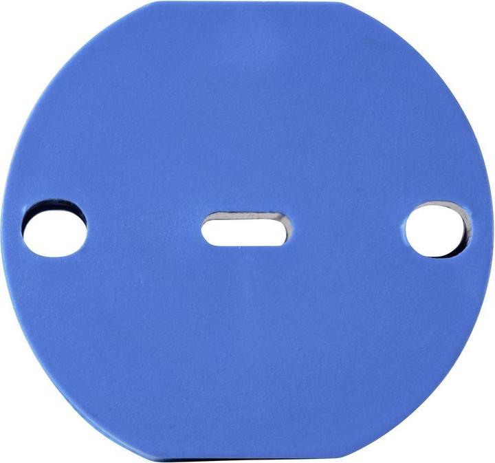 Image du produit Sygonix Insert du régulateur de température