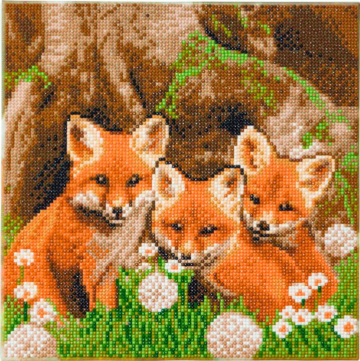 Actual product image Craft Buddy Fox Cubs