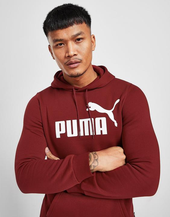 Produktbild Puma Essentieller Hoodie mit grossem Logo (M)